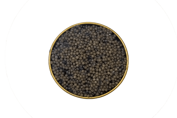 Caviar Online: Paddlefish Caviar